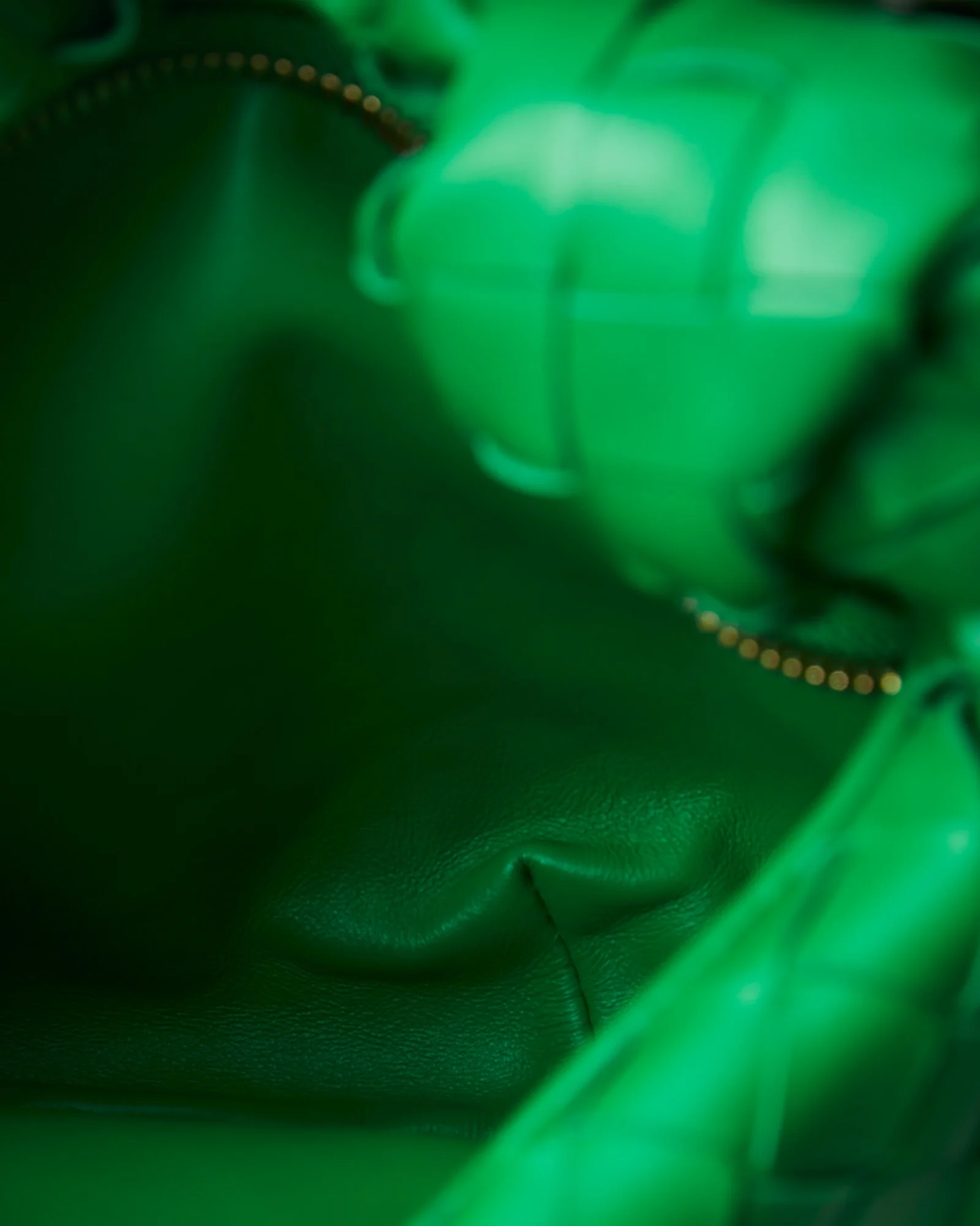 Bottega Veneta Jodie Mini Green