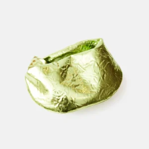 Bottega Veneta Jodie Mini Chlorophyll